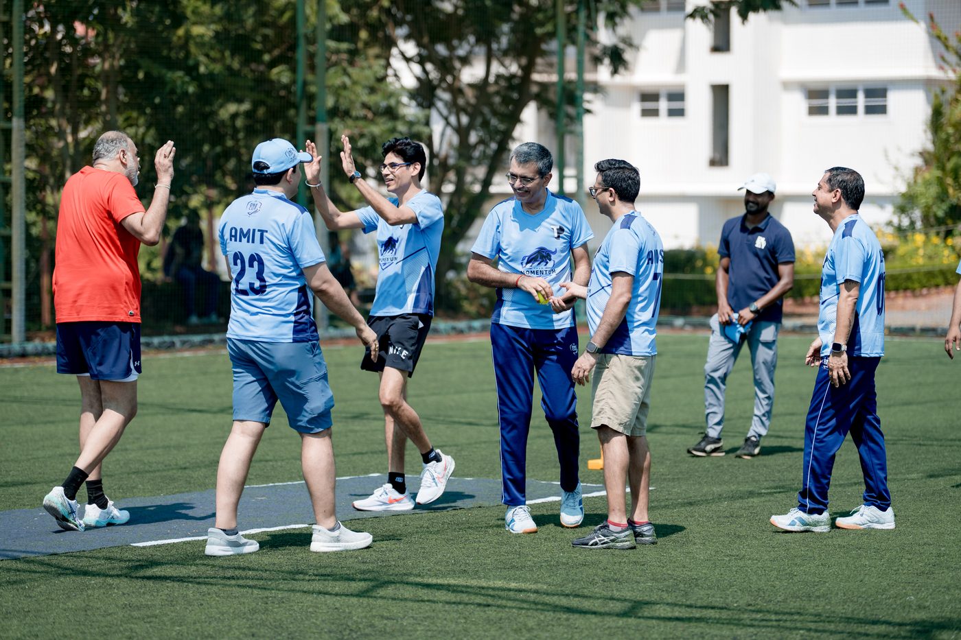 Cricket celebration — Momentum